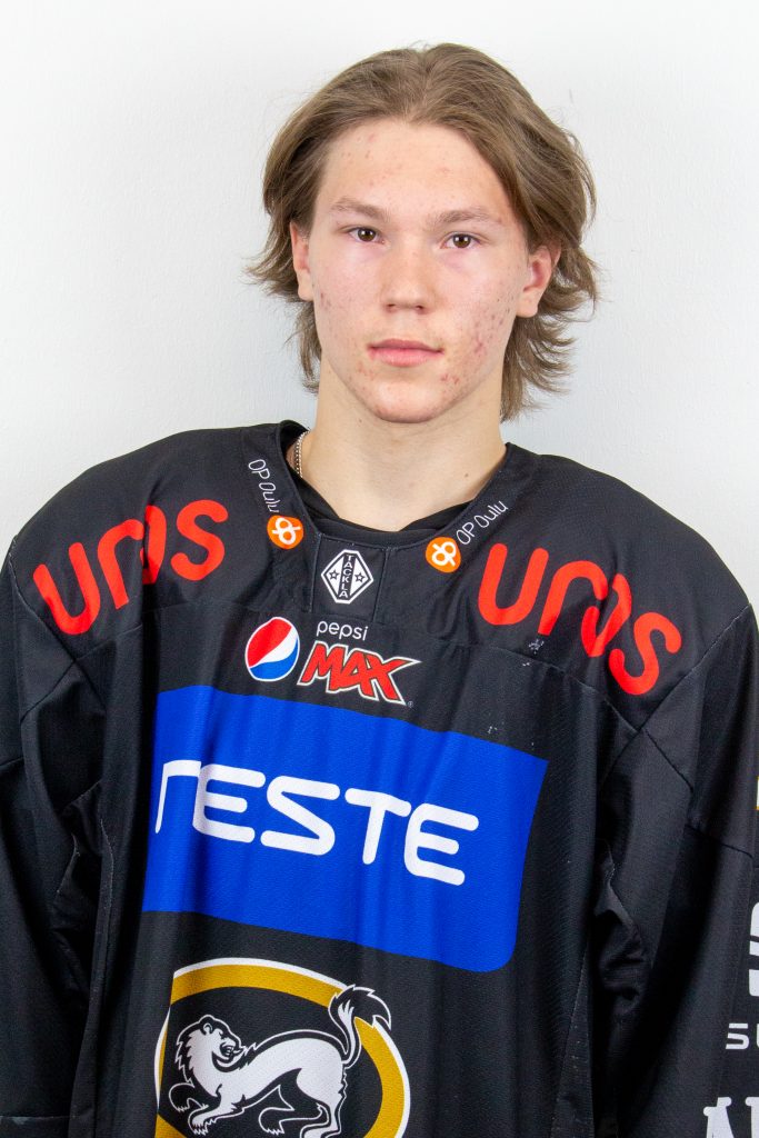 Yliniemi Sisu