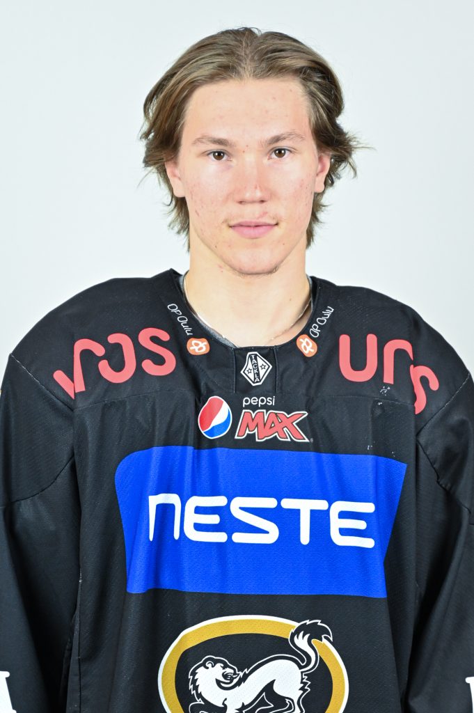 Yliniemi Sisu